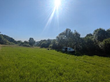 Blick auf den Stellplatz. Im Sommer steht man morgens im Schatten. 
