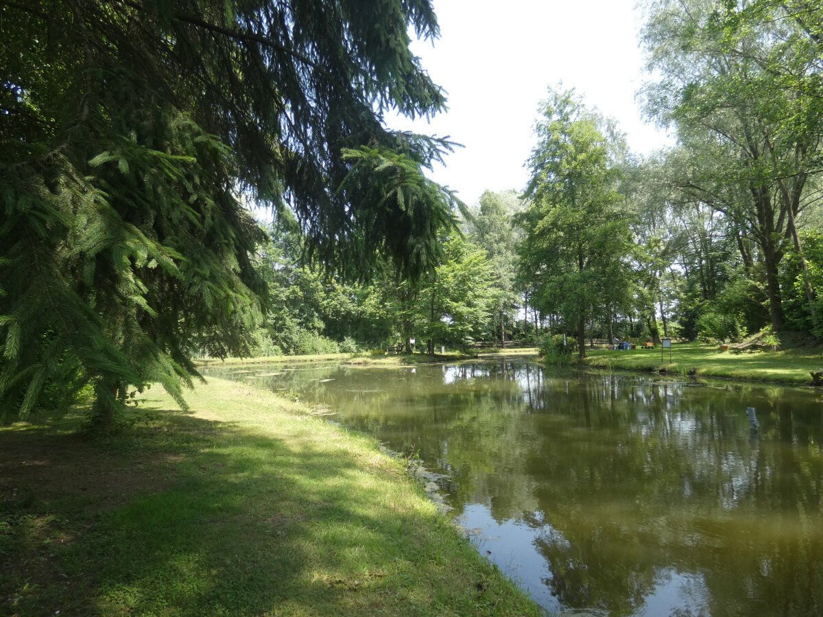 Wassergarten bei NaturOH in Gescher