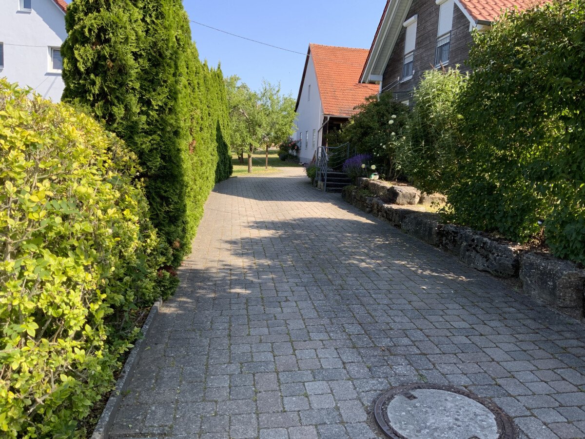 IMG_2749.jpeg