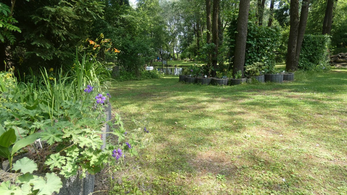 P1000927.JPG