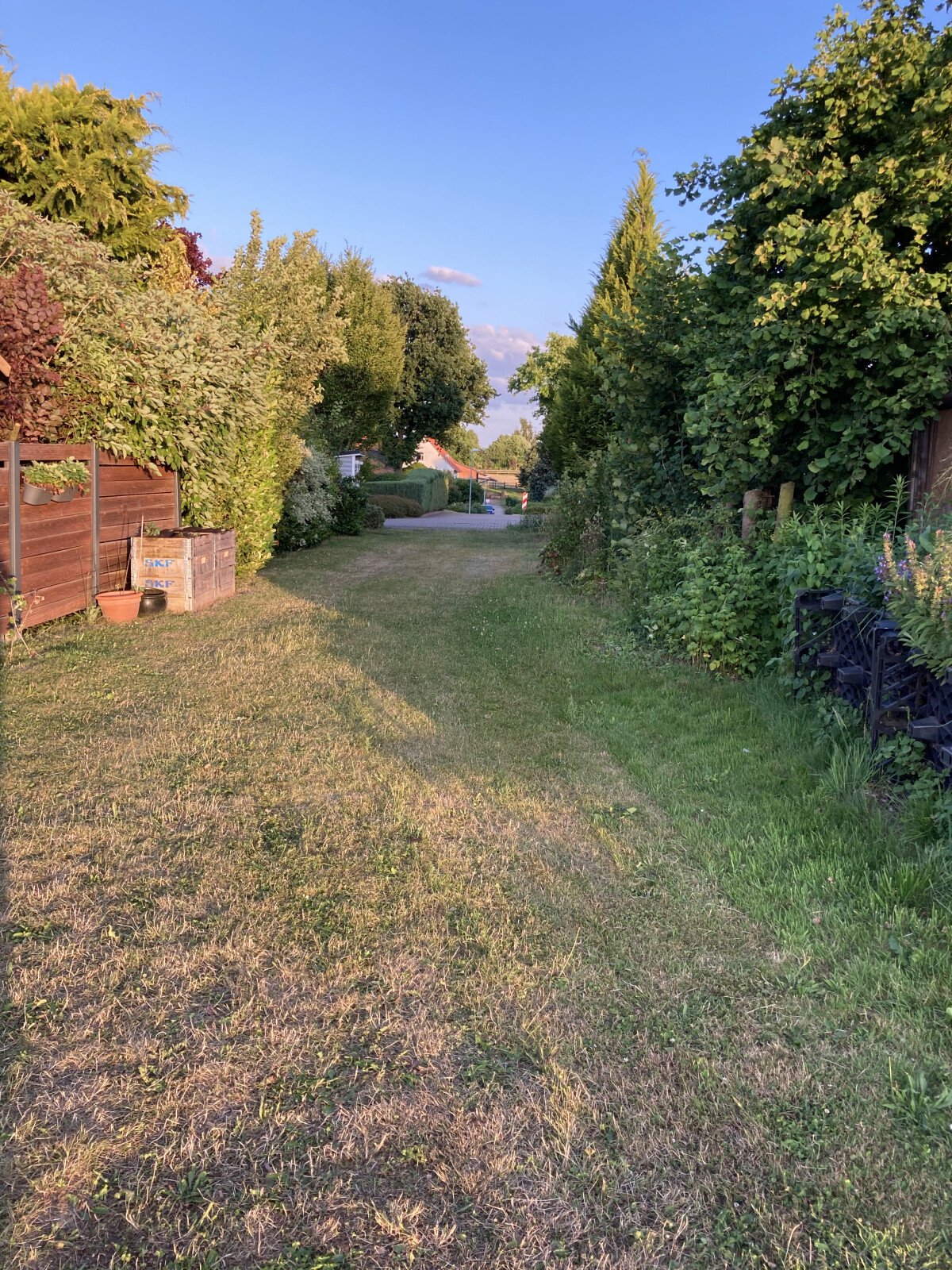 Stellplatz vom Feld