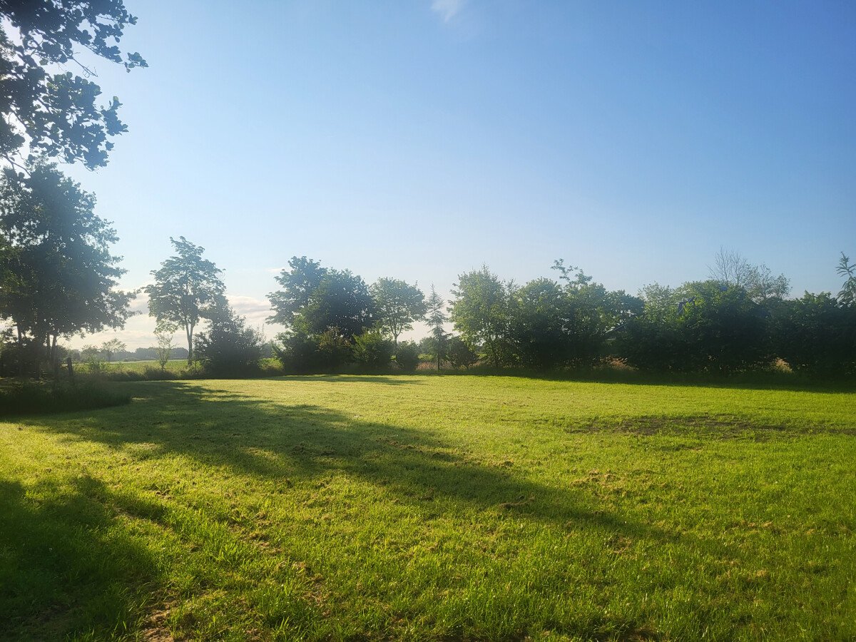 20250620_073323.jpg