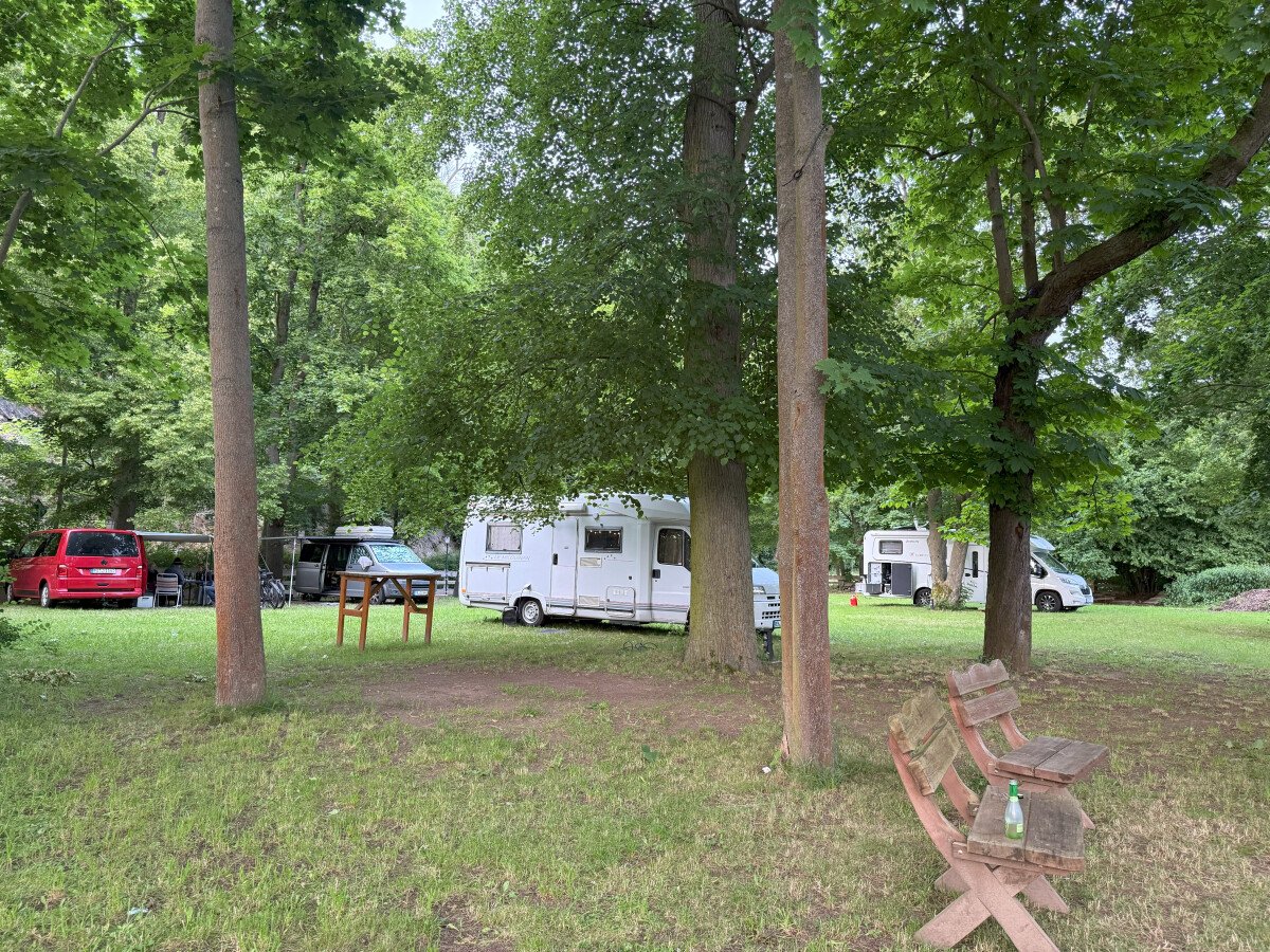 IMG_5054.jpg