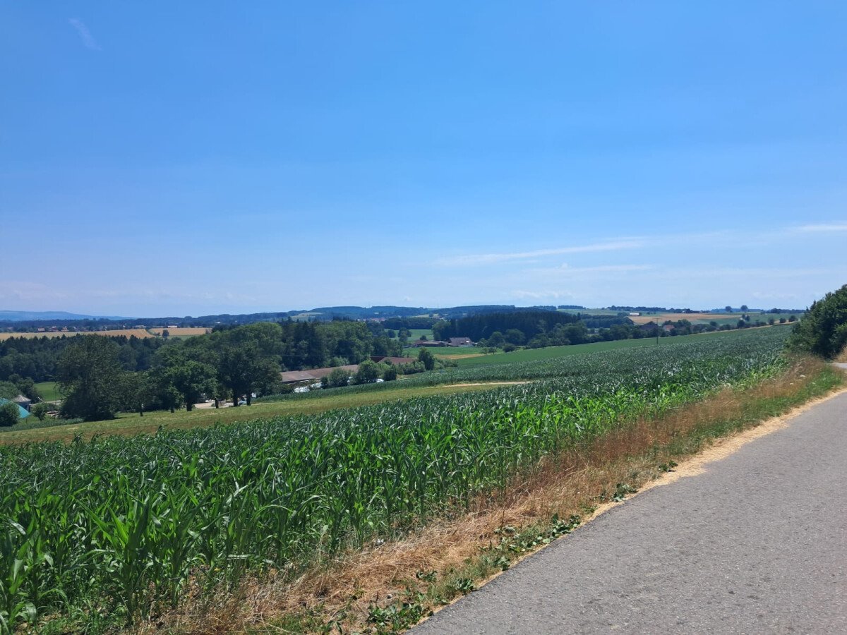 a7b87ada-96e4-4df5-a972-a2d42ab091d1.jpg