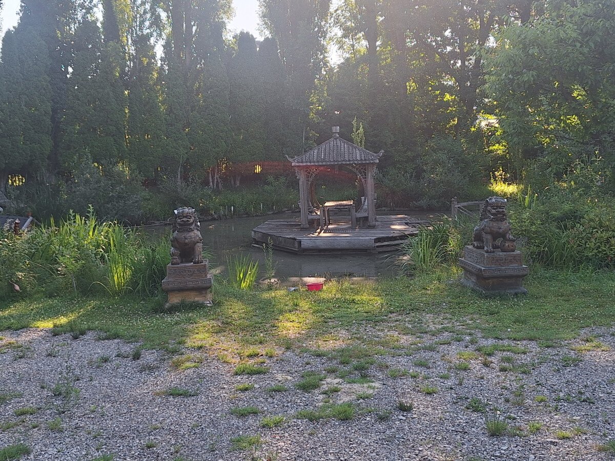17513500799518278632536750134504.jpg