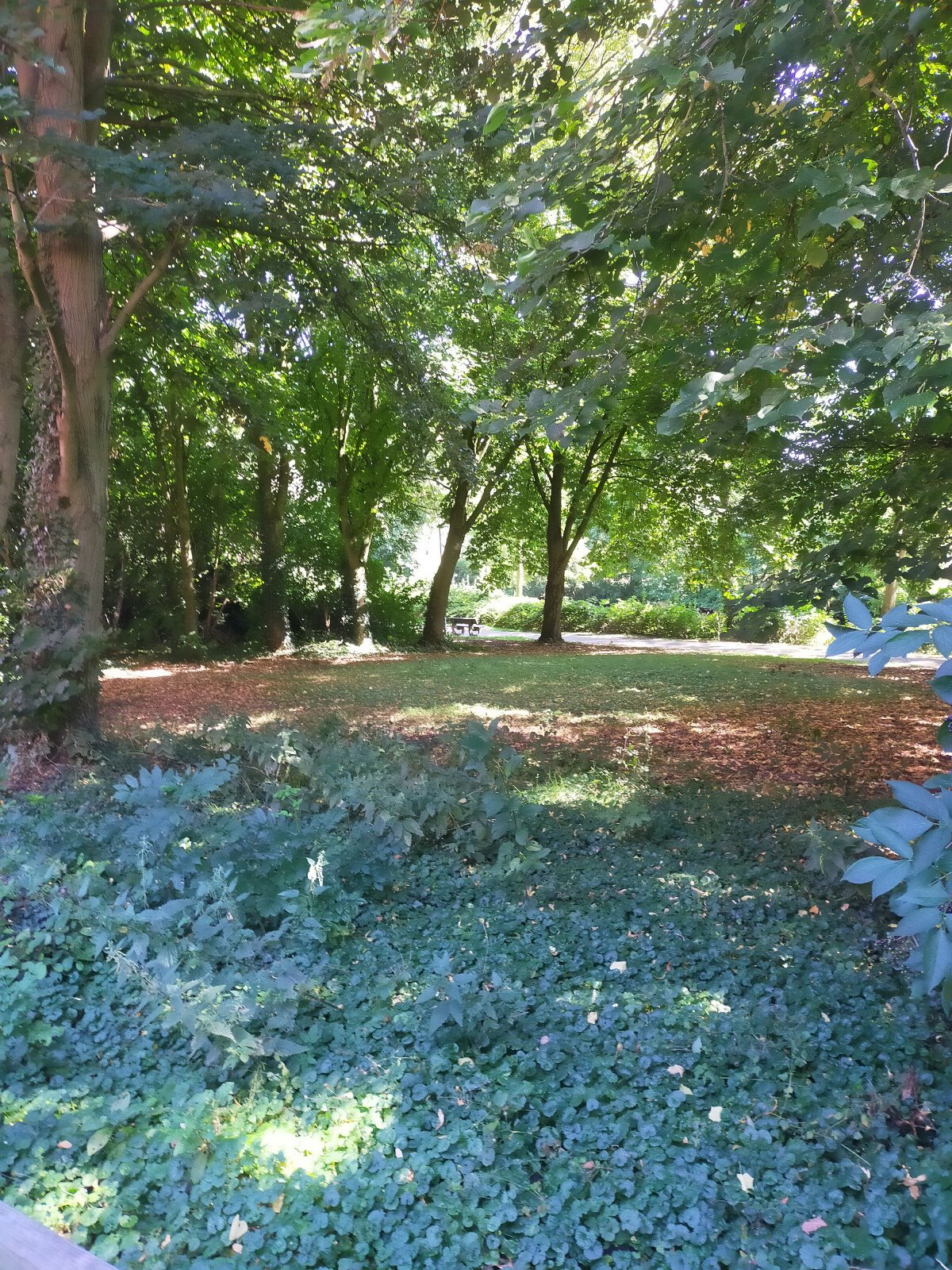 Park