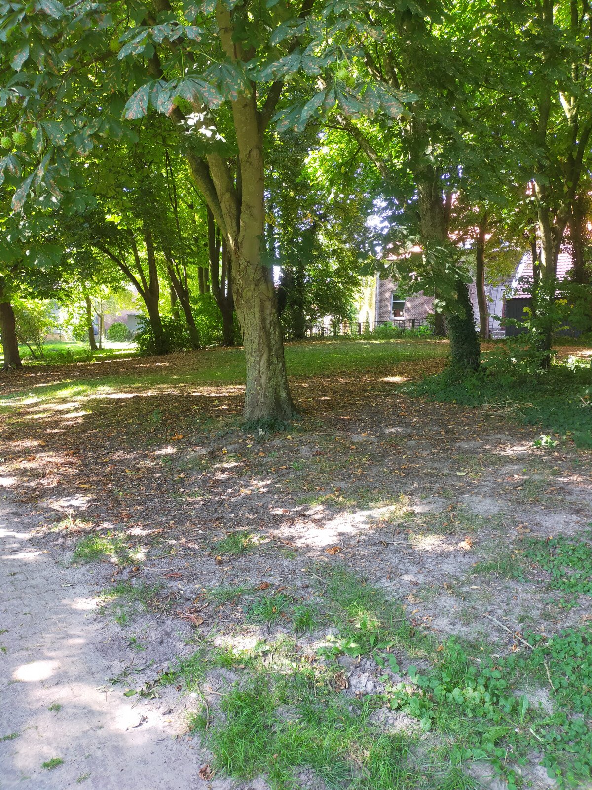 Park