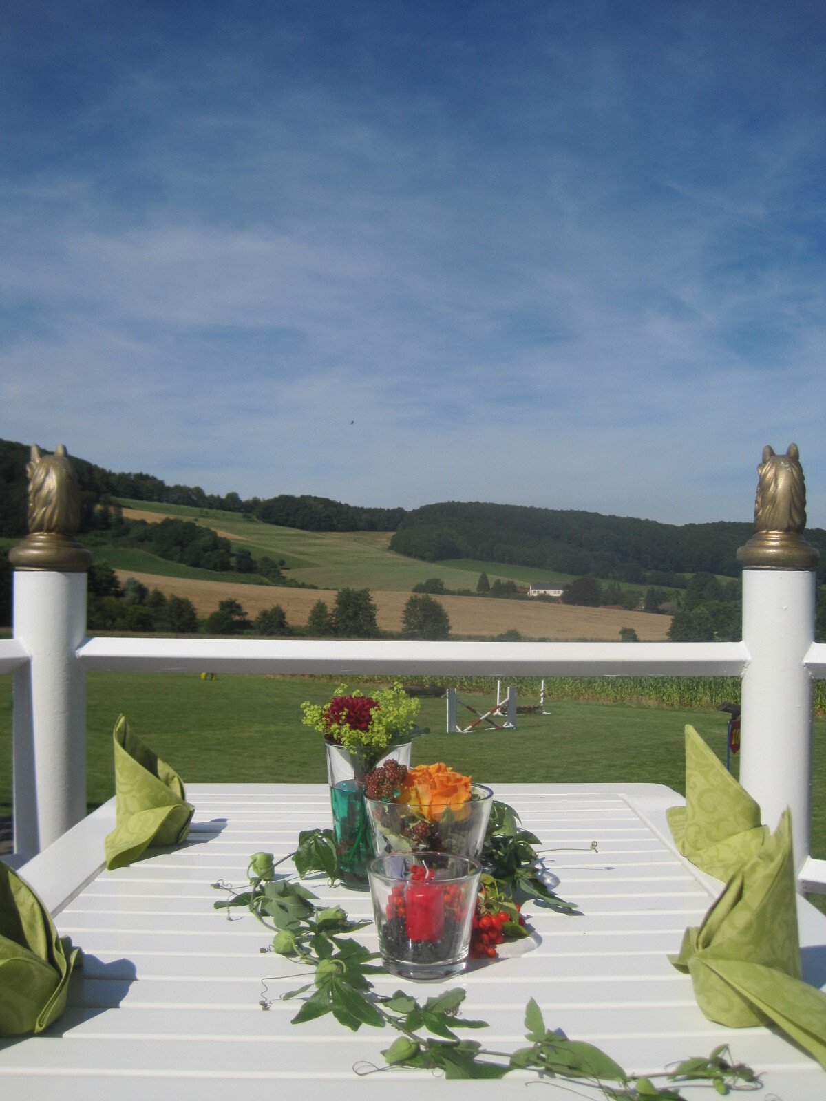 Aussicht Terrasse.jpg