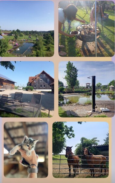 Impressionen vom Ferienhof