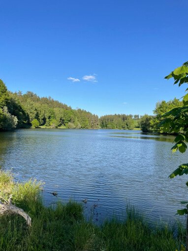 Der Fischbachsee