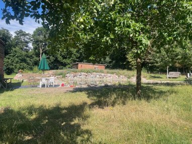 hier geht's zum Schwimmteich