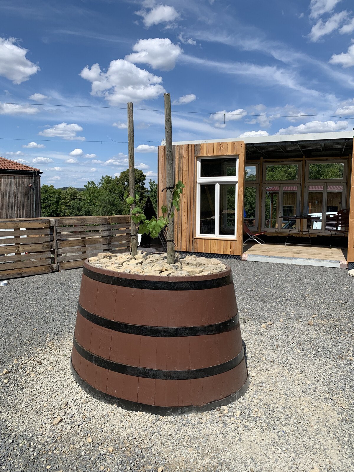WeinlaubeRebenfass