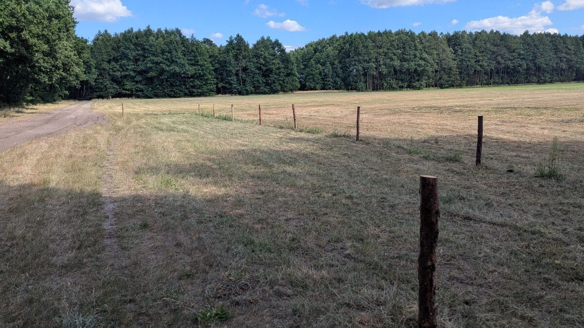PXL_20250703_144419208.jpg