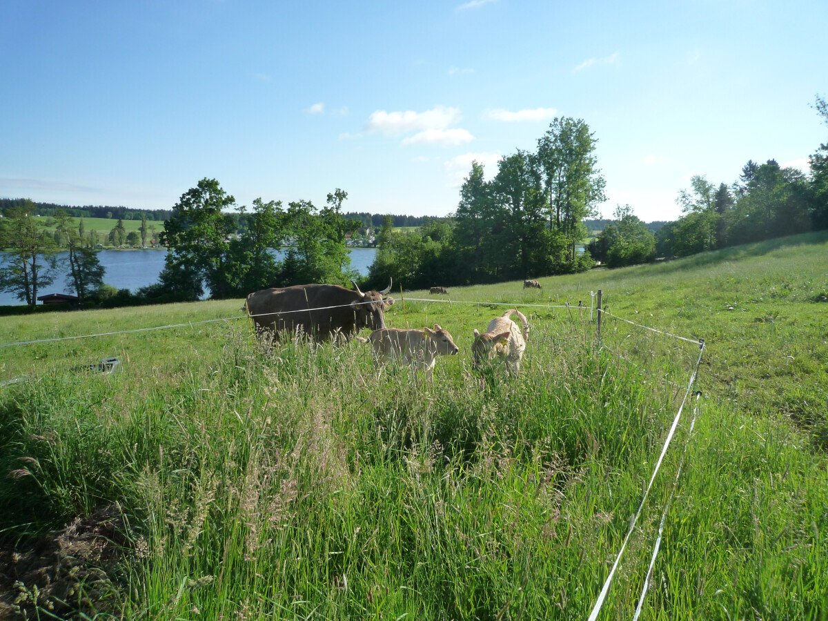 P1030176.JPG