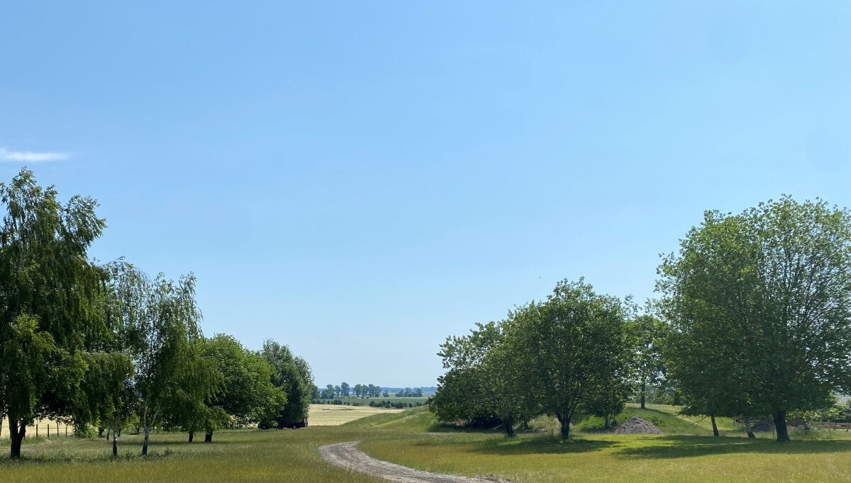 Weitsicht bis zum Bodden