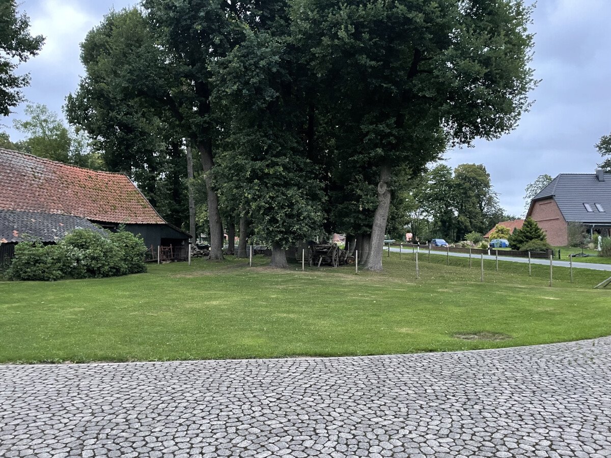 IMG_9413.jpeg