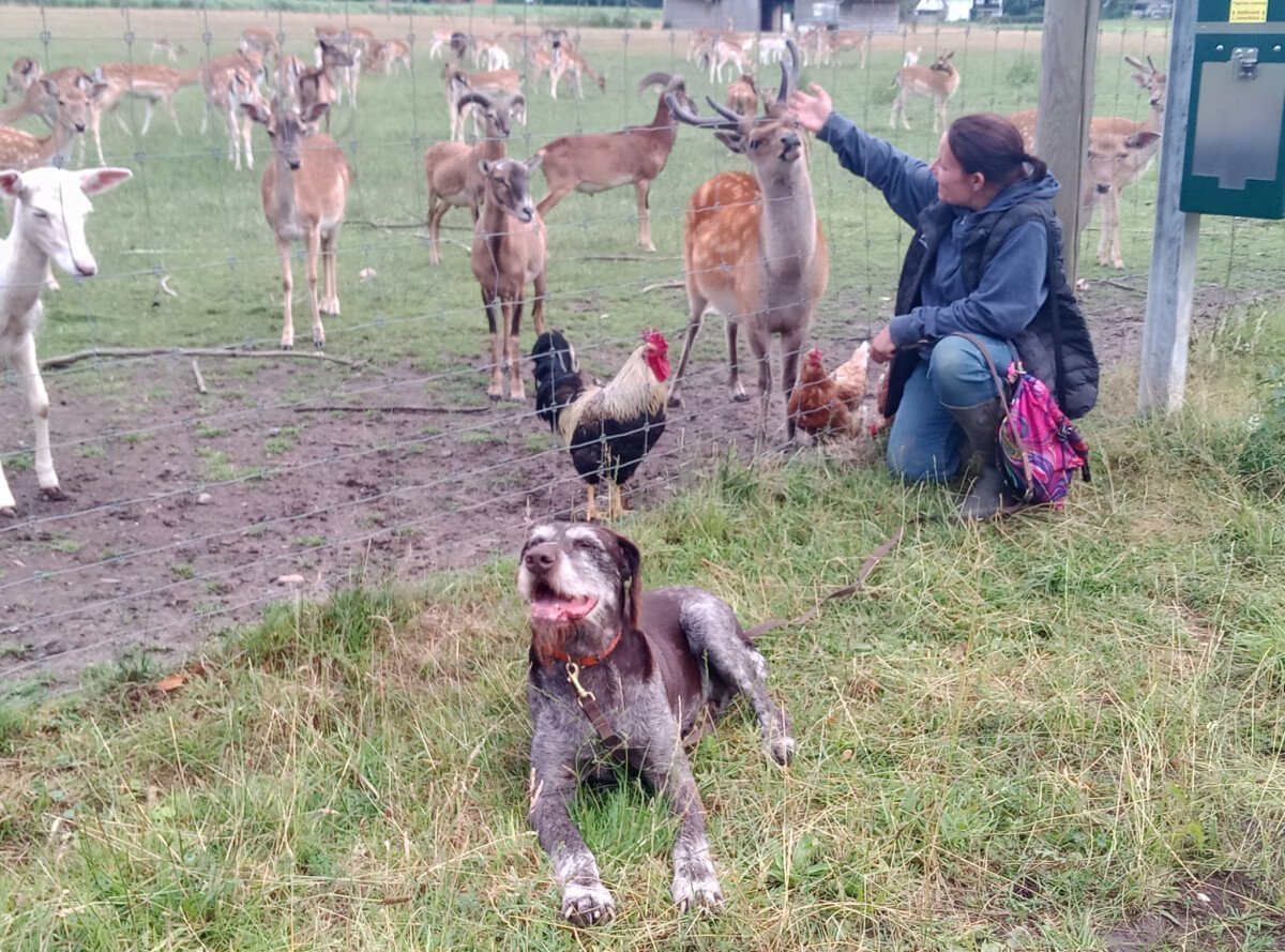 Rudolf im Gehege.jpg