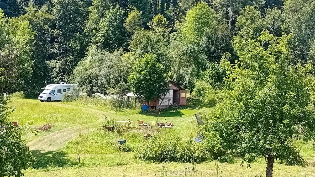 20250712_142510.jpg