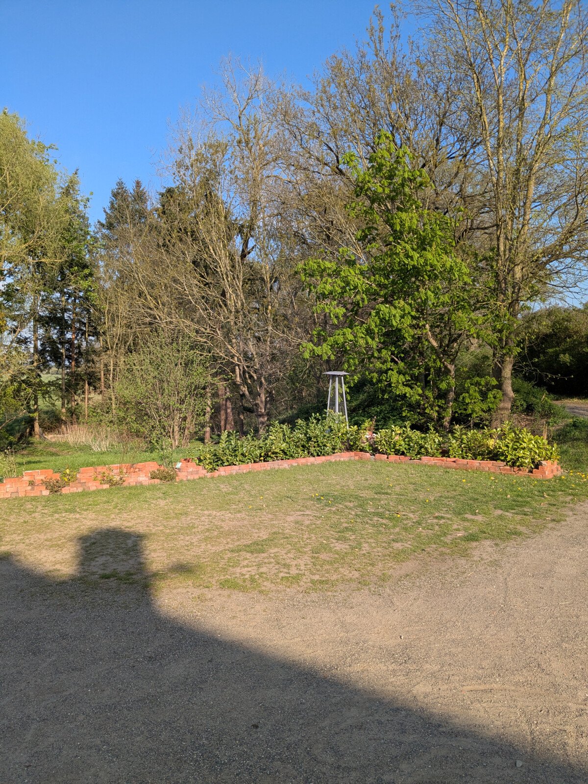 PXL_20250421_154133559.jpg