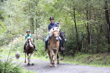Unsere Ponys