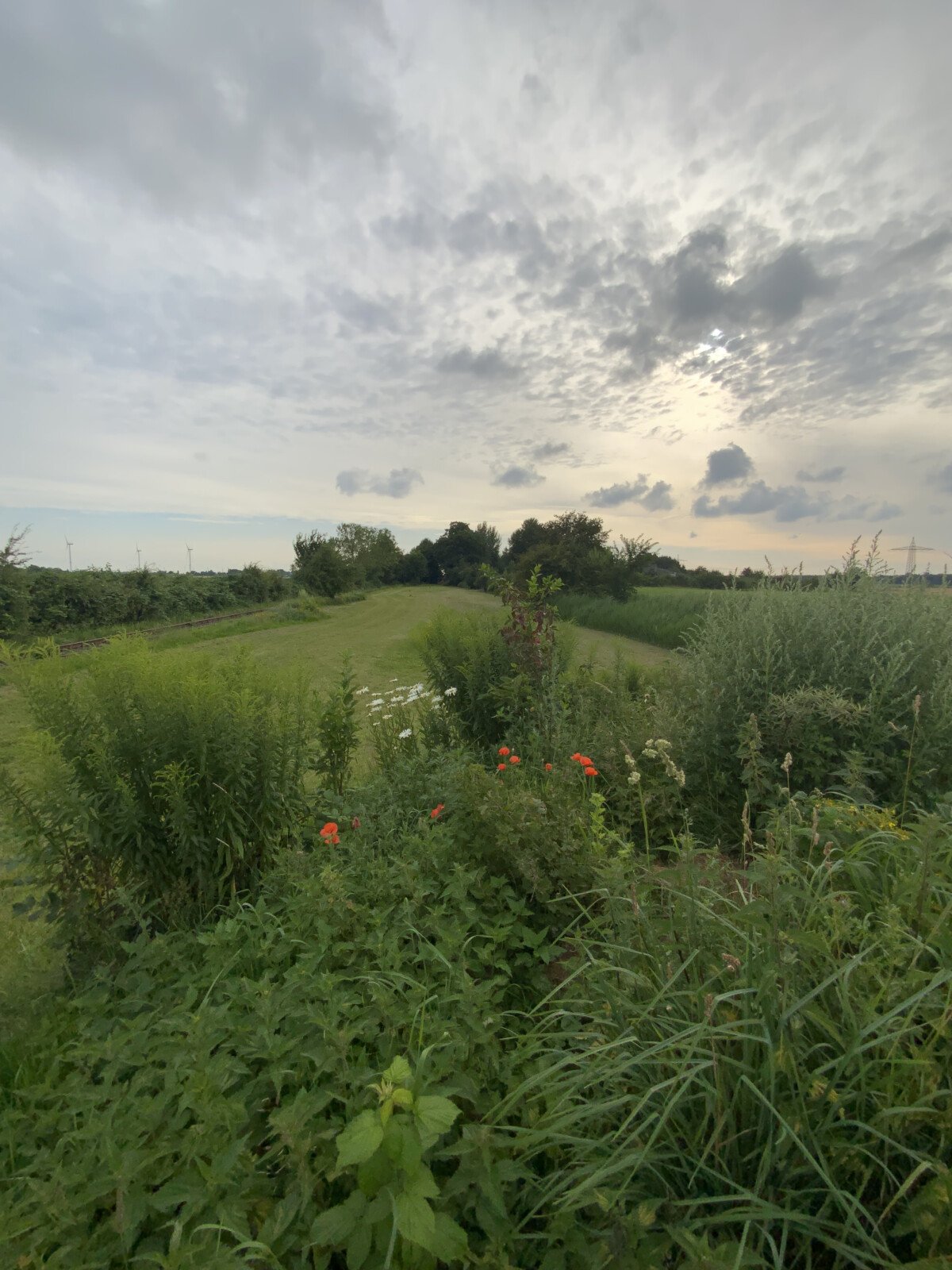 IMG_0686.jpeg