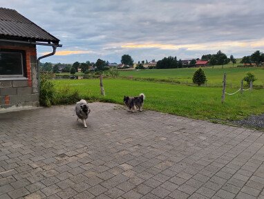 Euer Stellplatz wäre dort, wo die Hundis auf dem Foto sind
