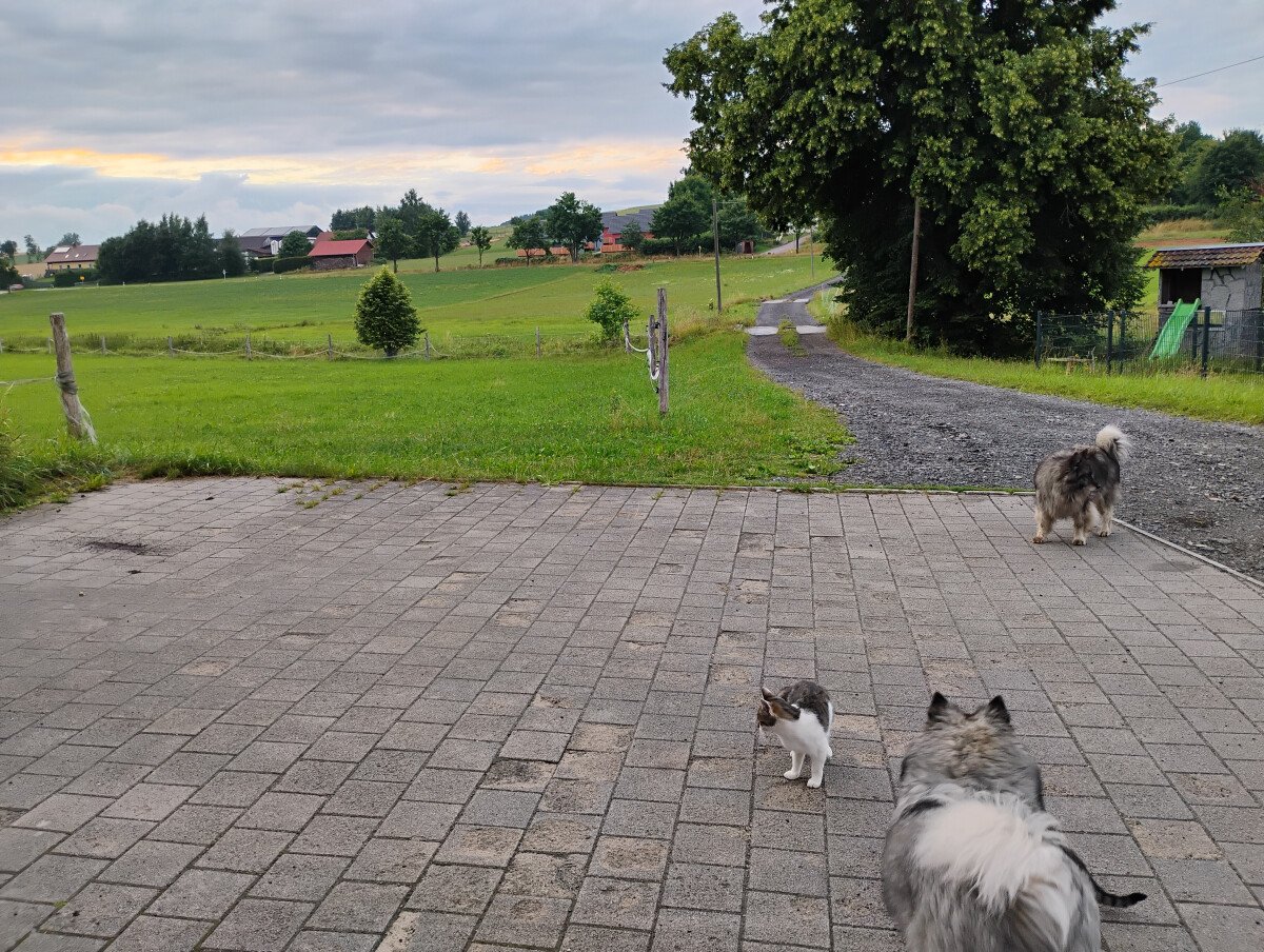 IMG_20250724_202917995_HDR.jpg