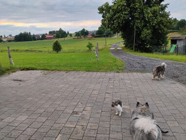 Stellplatz von Süden aus