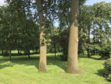 Stellplätze im Schatten bei sommerlichen Temperaturen.....