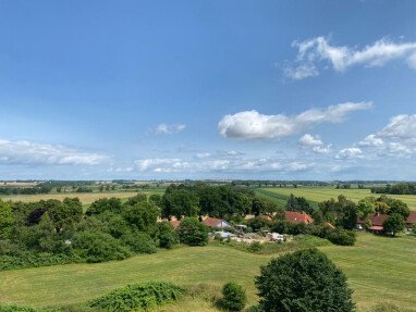 Wiese von ob