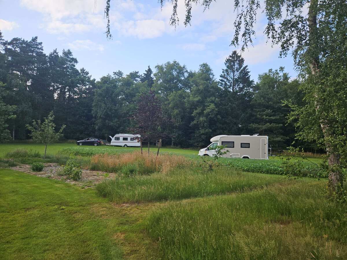 Stellplatz- Wiese
