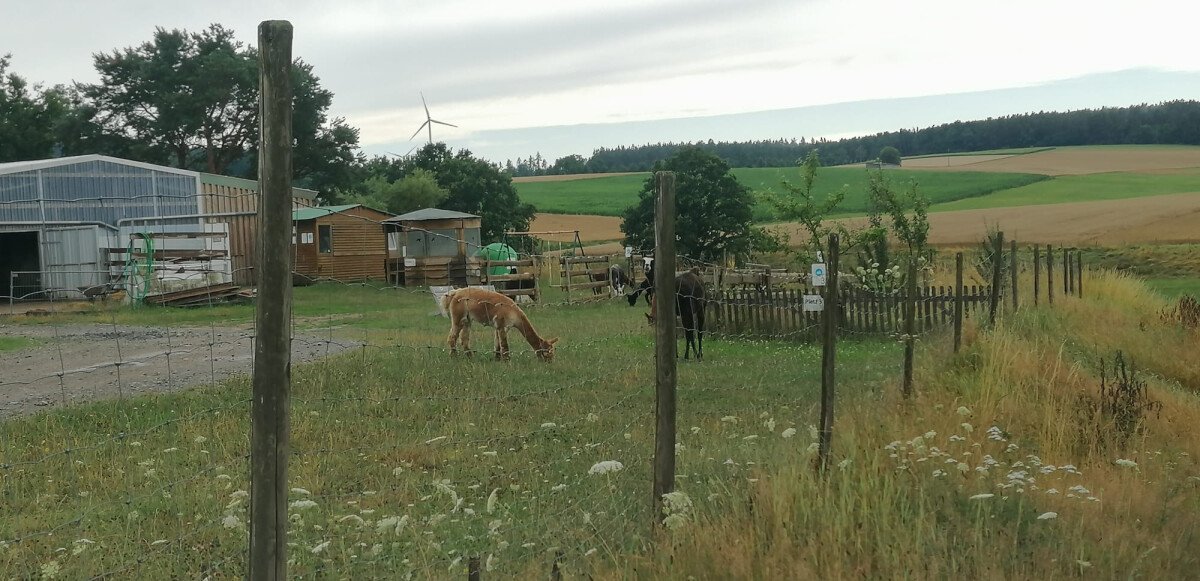 WhatsApp Image 2025-07-26 at 11.51.48 (1)