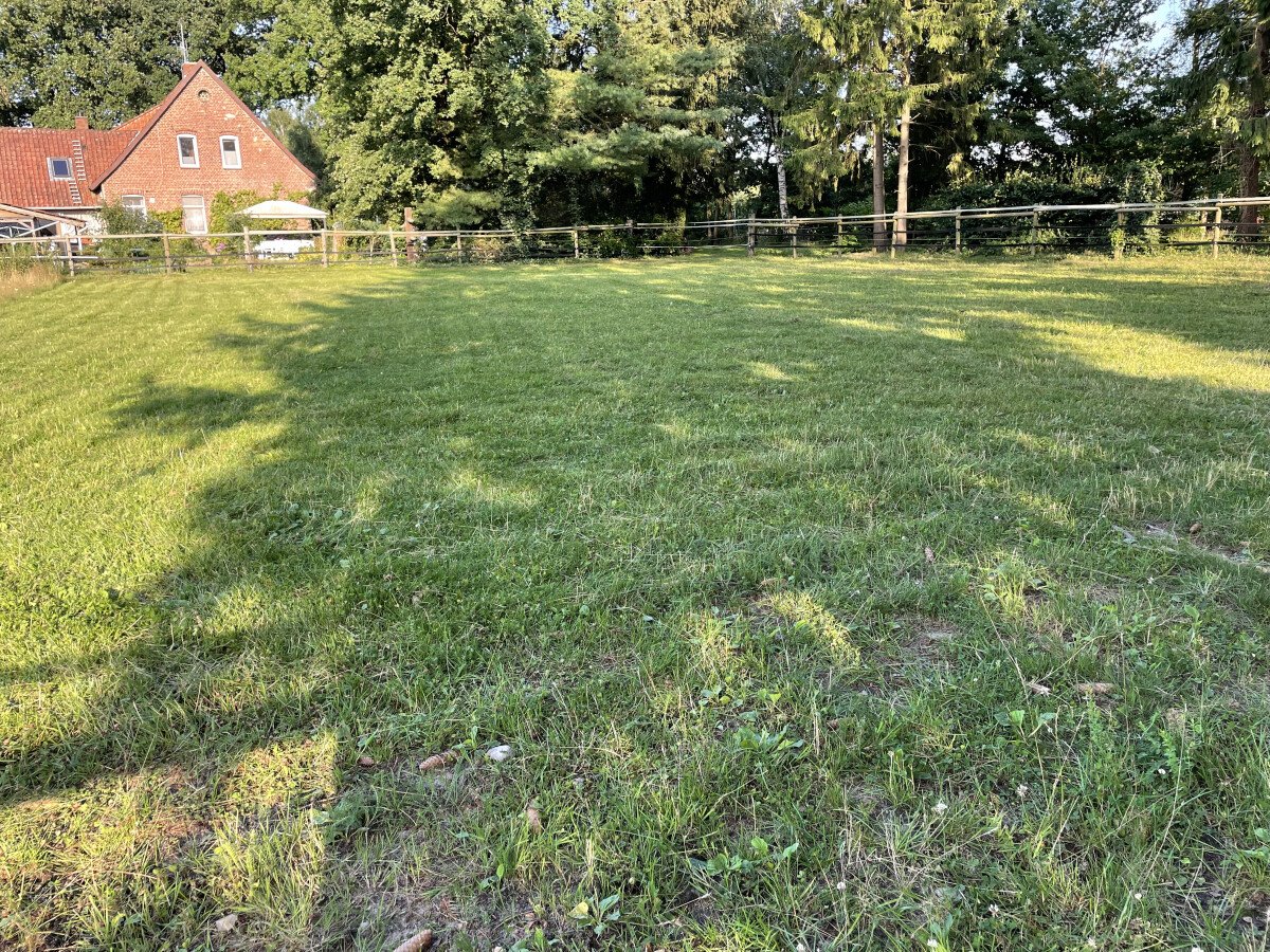 IMG_5128.JPEG