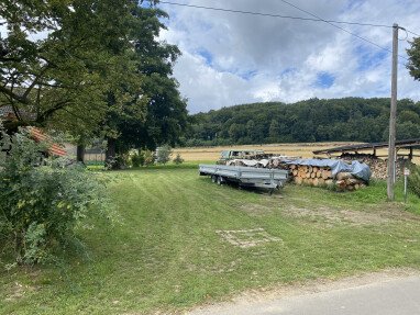 Auffahrt zur Wiese