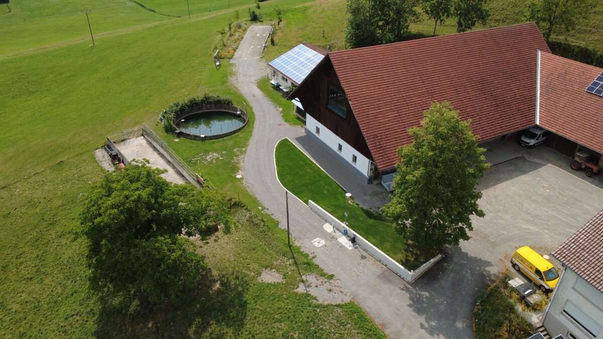 dji_fly_20250715_162436_13_1752589649141_photo_optimized.jpeg