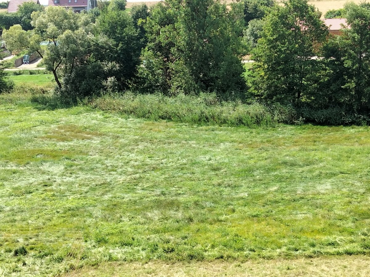 IMG20210815122403.jpg