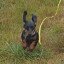 Ralf