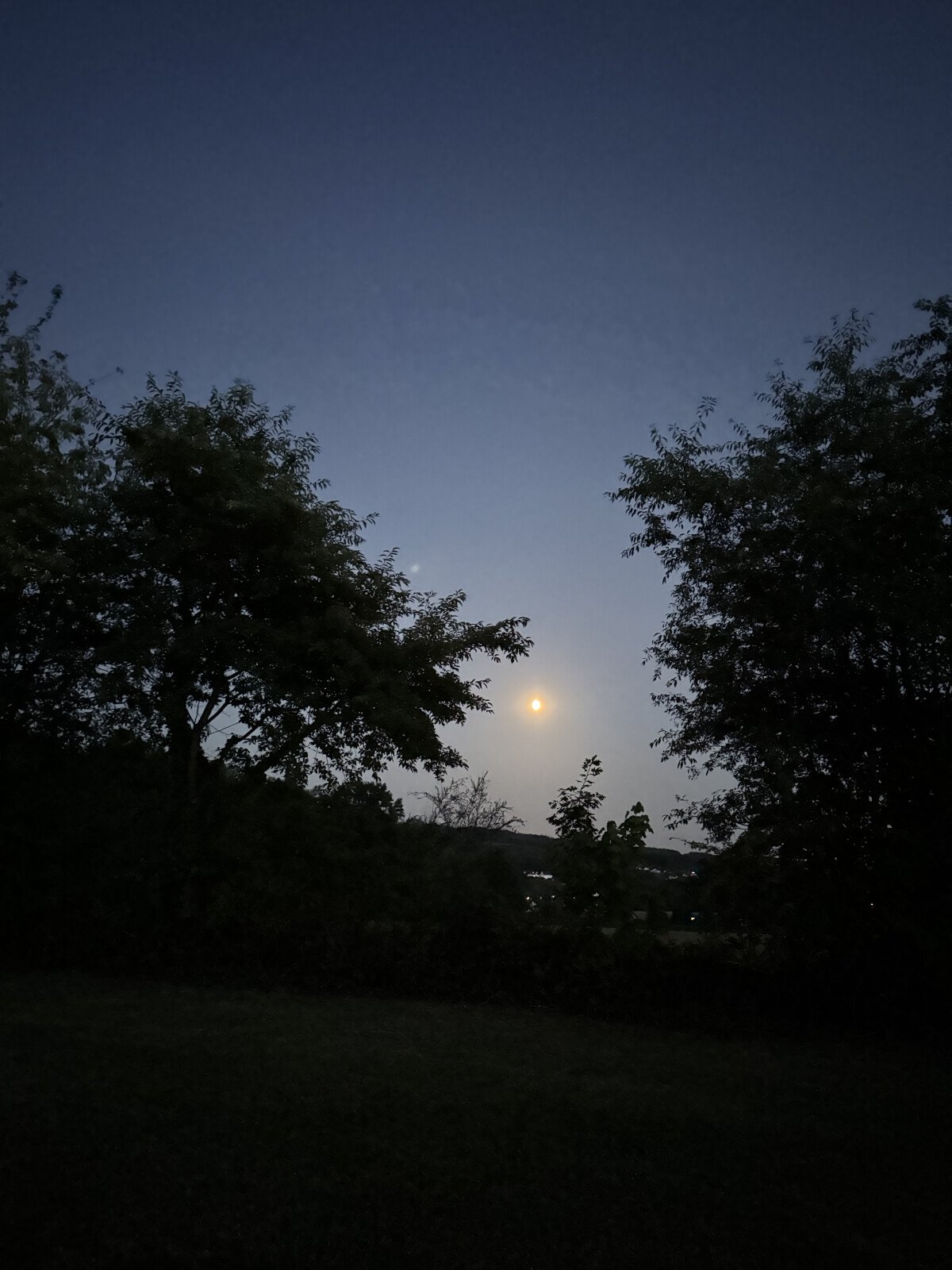 IMG_7001.jpeg