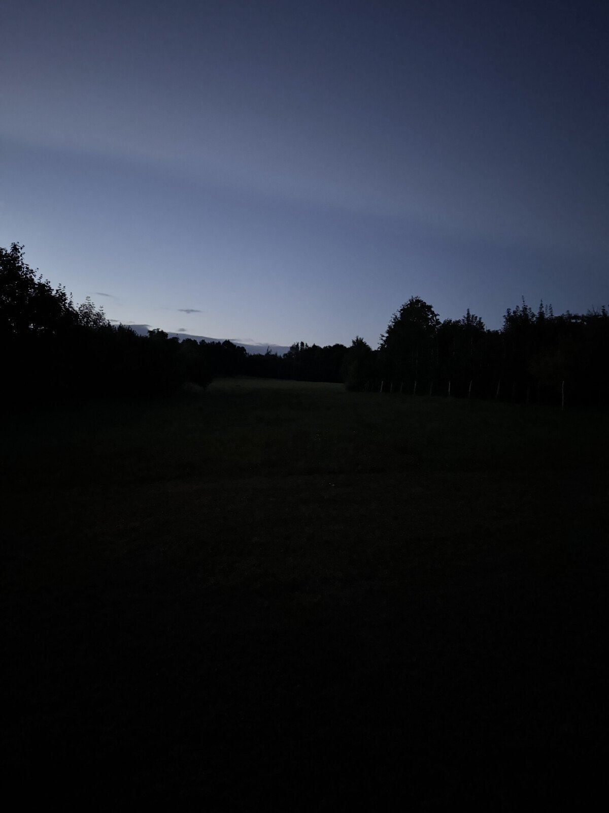 IMG_7002.jpeg