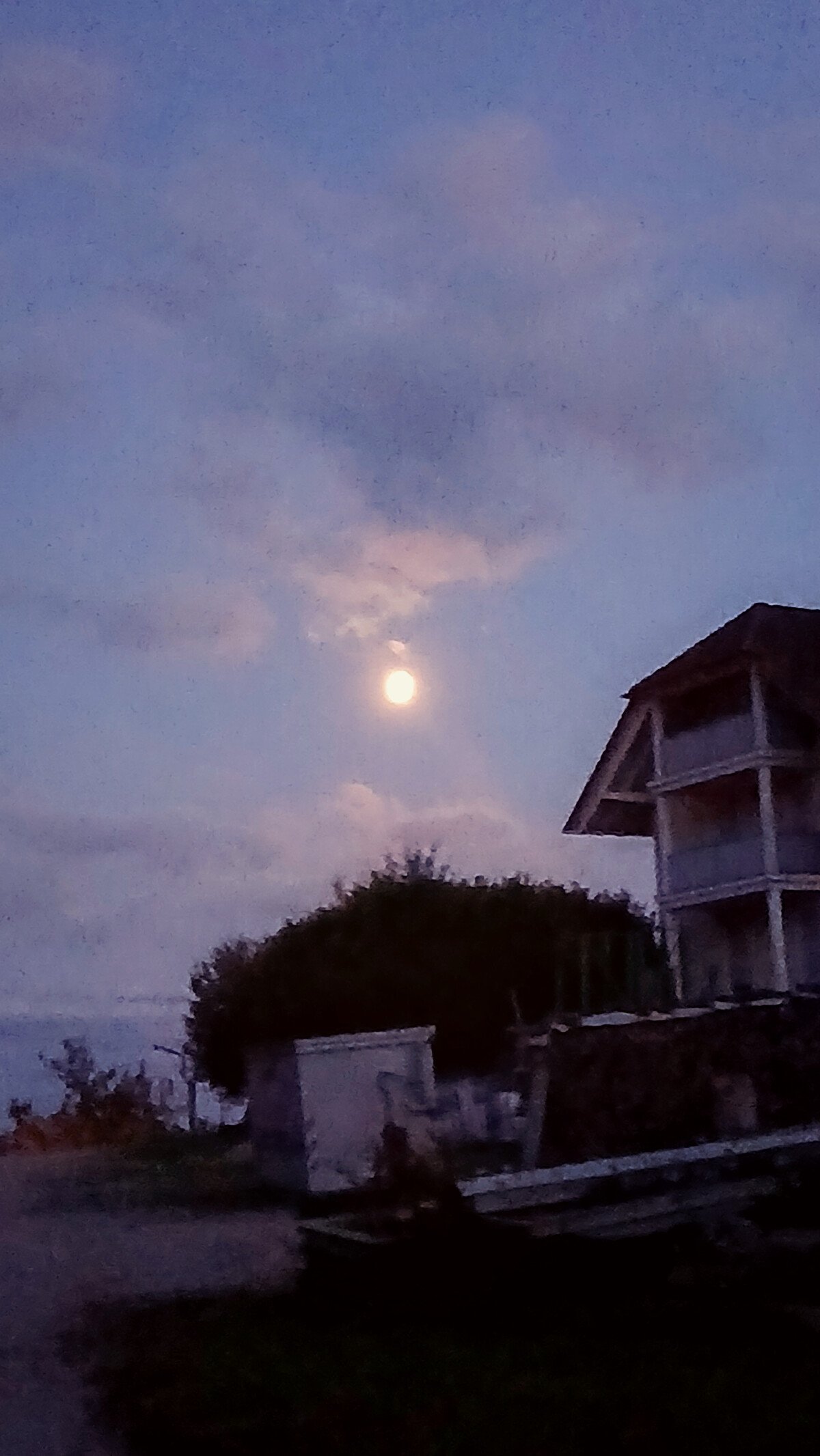 20250805_213737.jpg