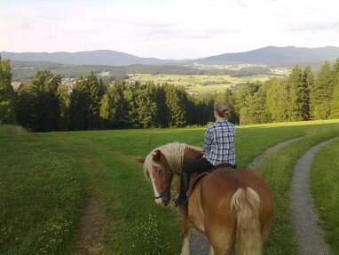 Genießen Sie unsere wunderschöne Landschaft bei einem Ausritt mit unseren Pferden.