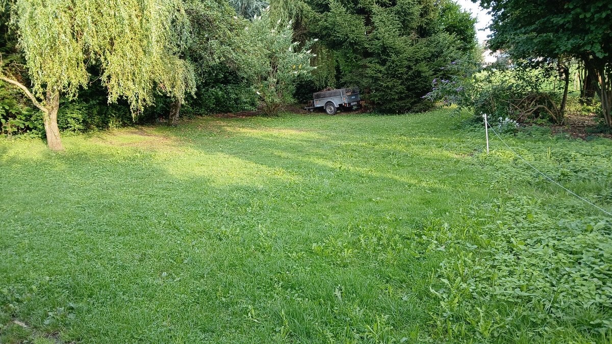 IMG-20250731-WA0050.jpeg