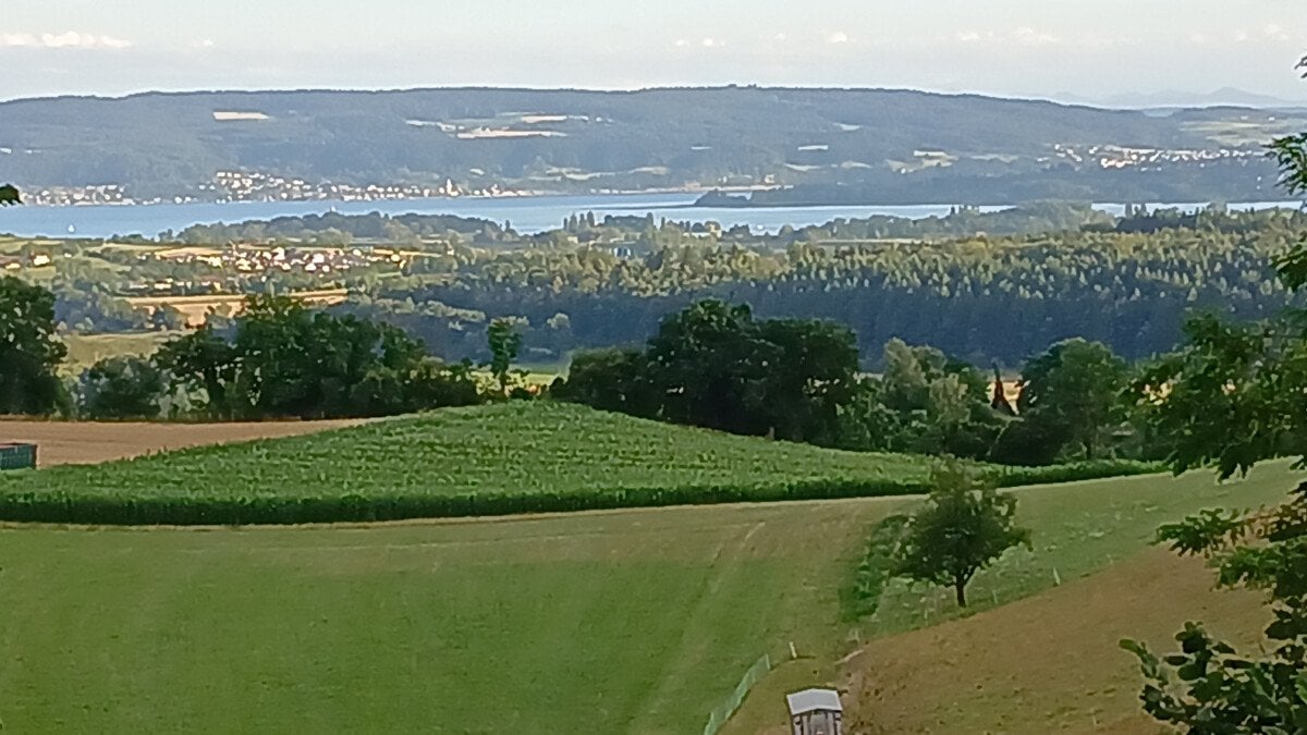 IMG-20250717-WA0003.jpeg