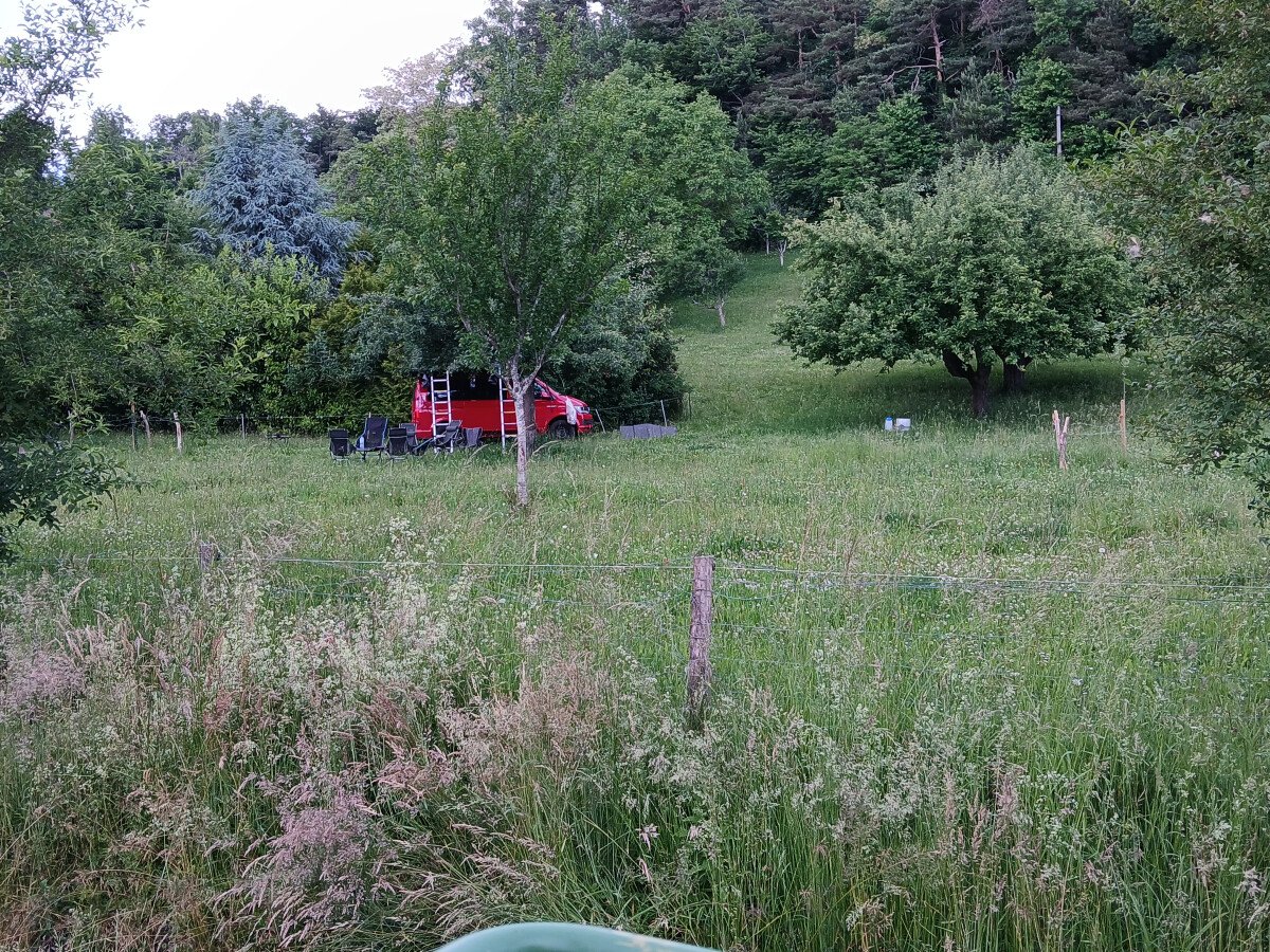 20250531_171946.jpg