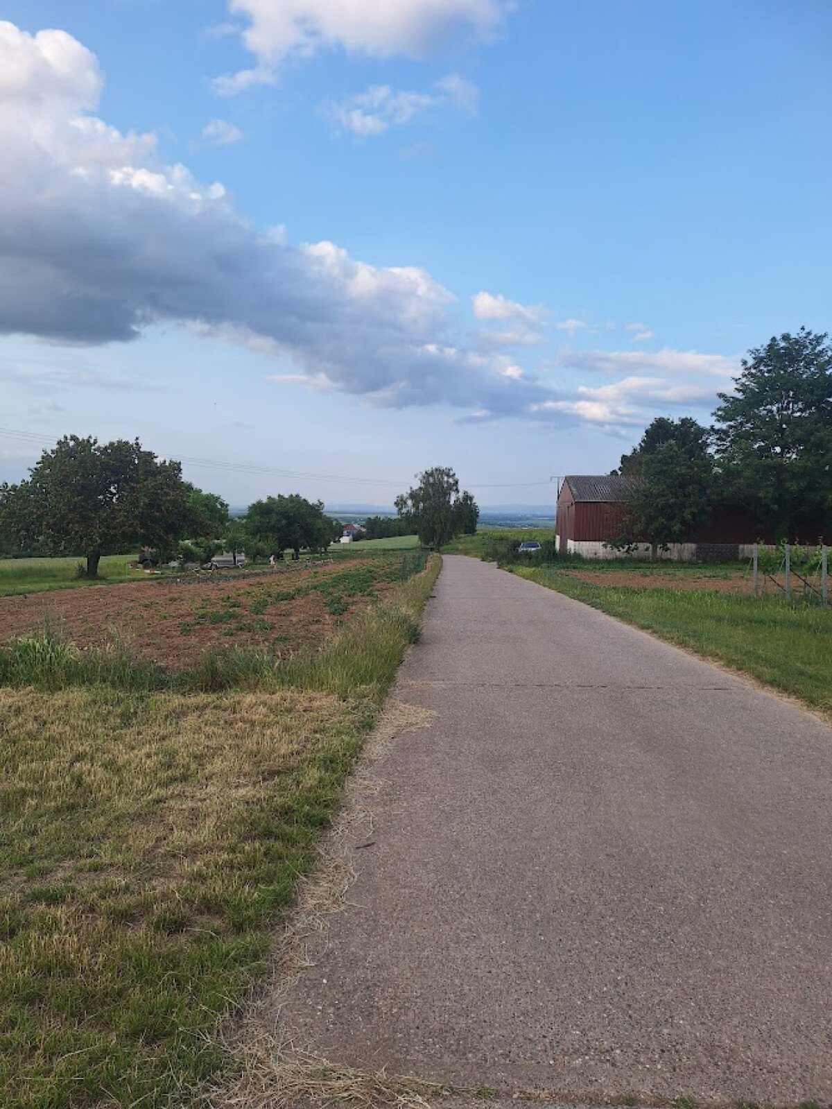 20250603_194438.jpg
