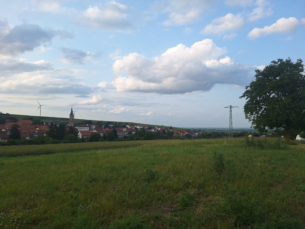 20250603_194714_001.jpg