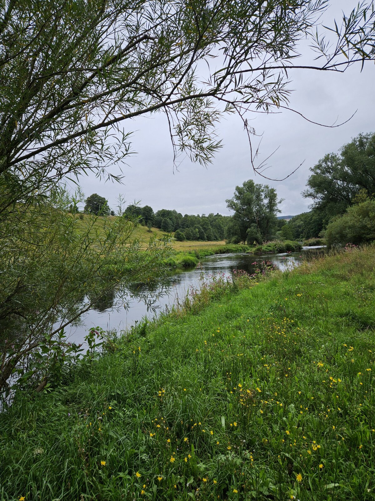 20250805_151734.jpg