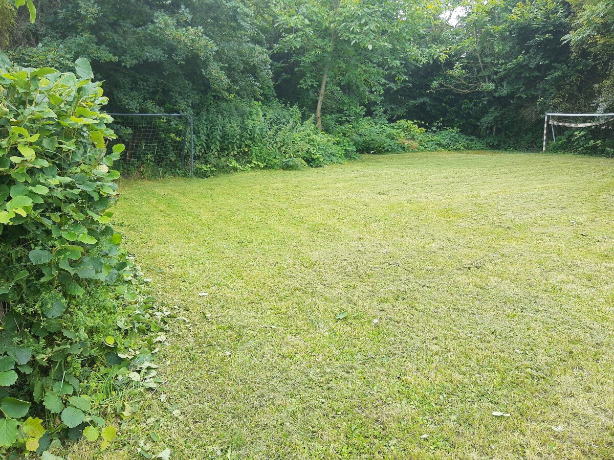 IMG_20240706_113811042.jpg