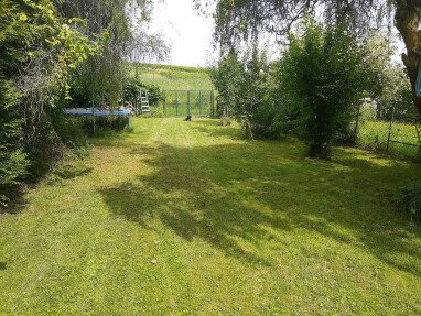 Blick in die Weinberge 