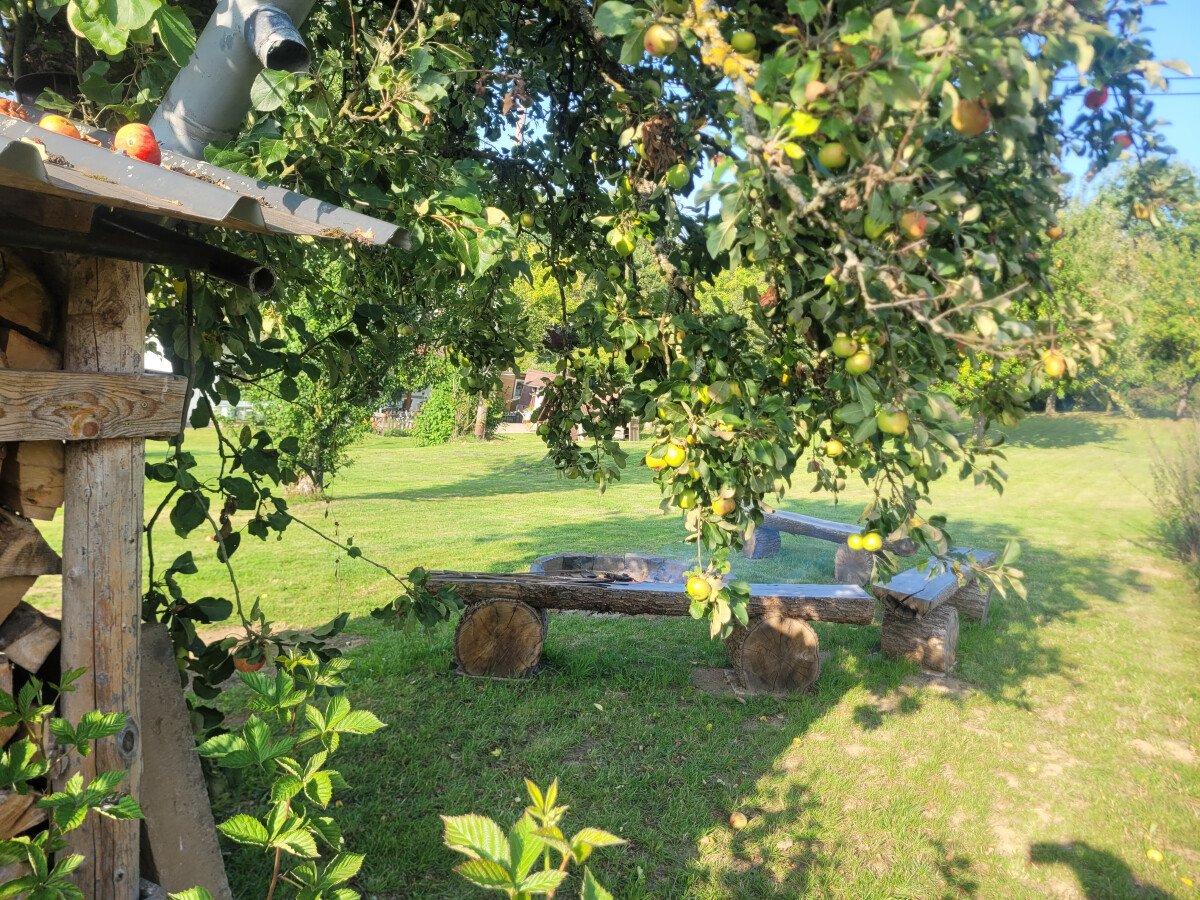 20250809_182138.jpg